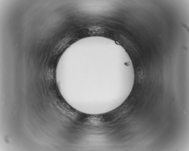 X0000102230756200808151729