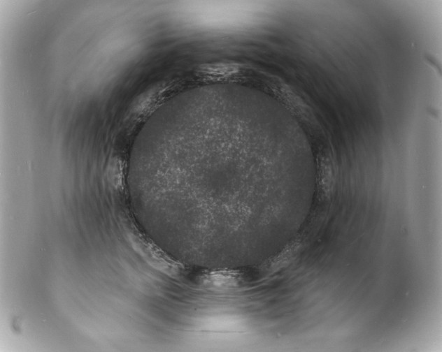 X0000102230758200808151729