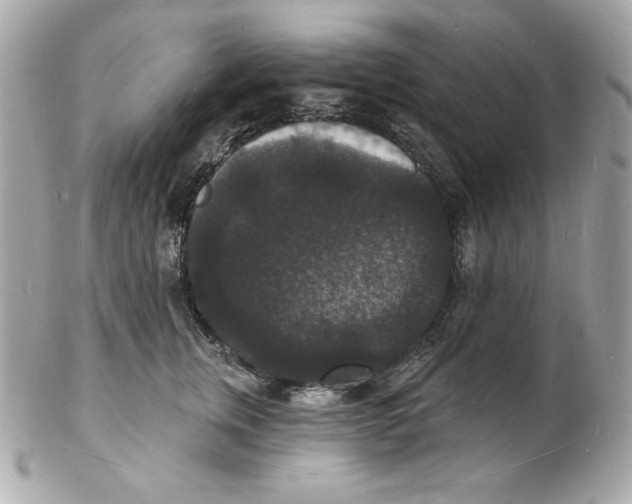 X0000102230759200808151729