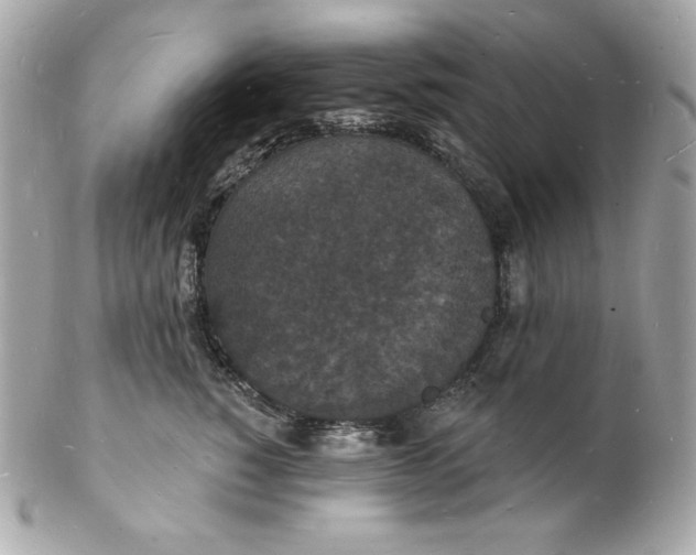 X0000102230760200808151729