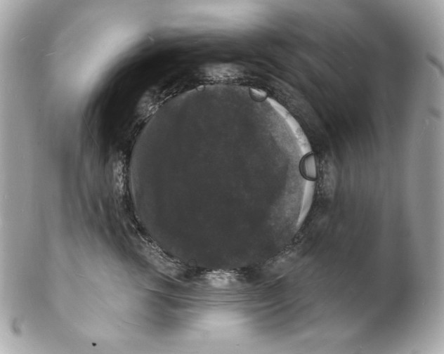 X0000102230762200808151729