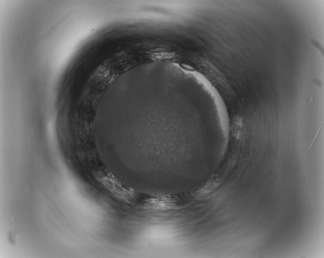 X0000102230763200808151729