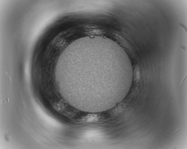 X0000102230764200808151729