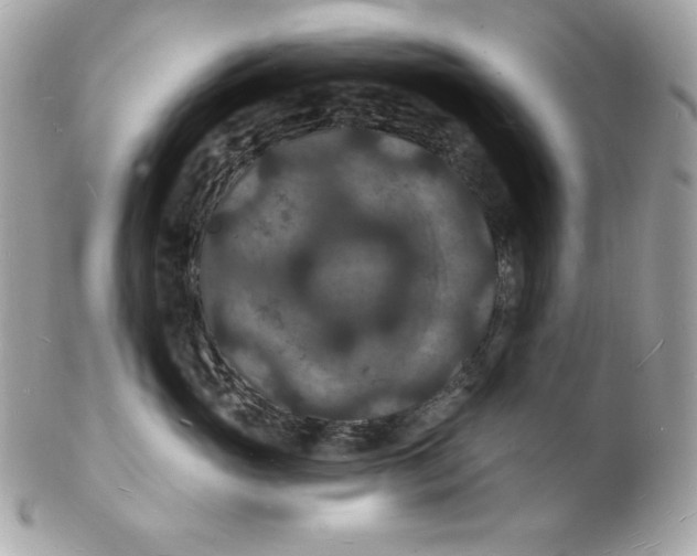 X0000102230765200808151729