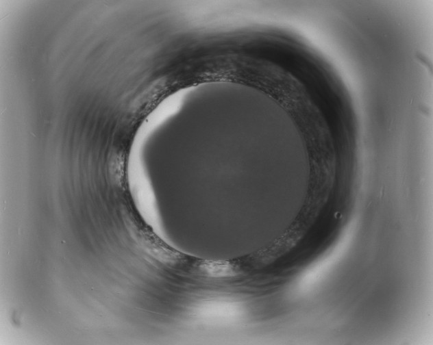 X0000102230767200808151729