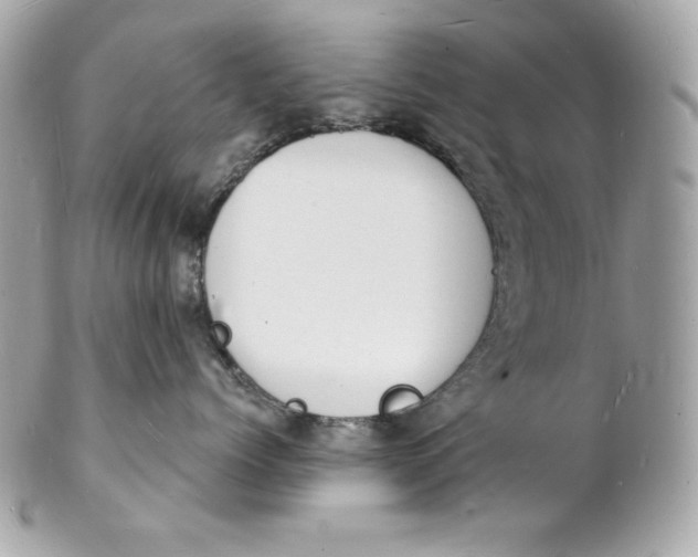 X0000102230768200808151729