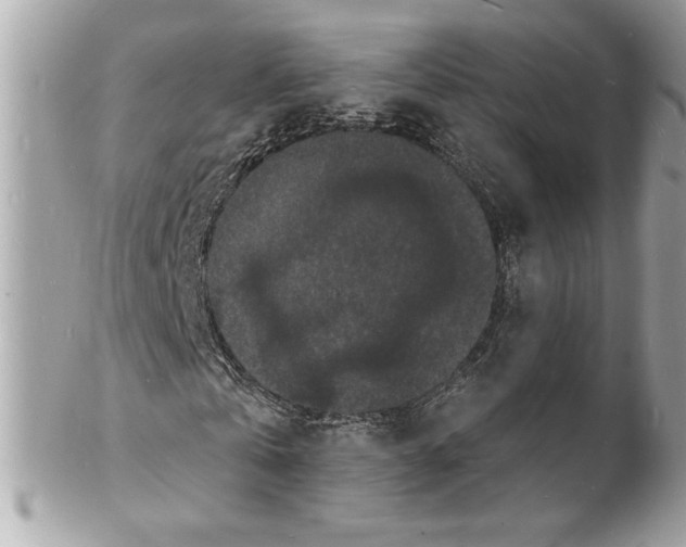 X0000102230769200808151729