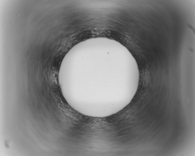 X0000102230770200808151729