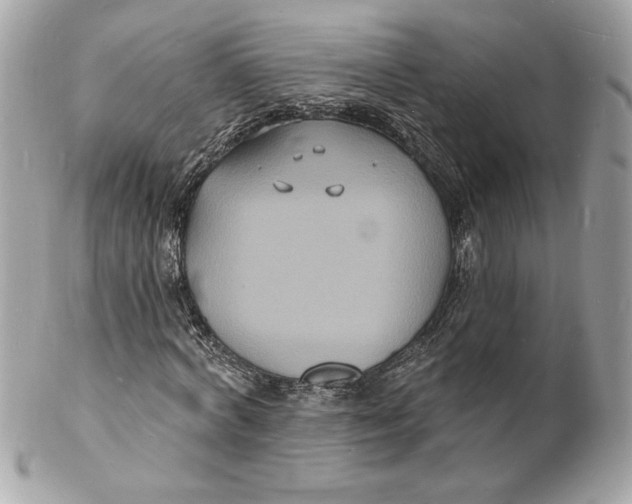 X0000102230772200808151729