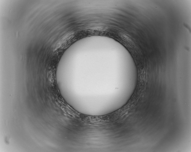 X0000102230774200808151729