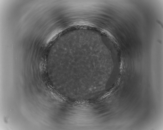 X0000102230775200808151729