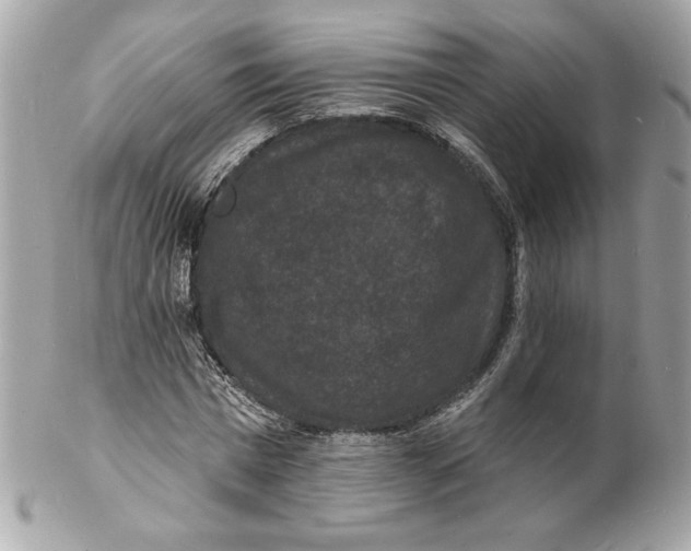 X0000102230777200808151729