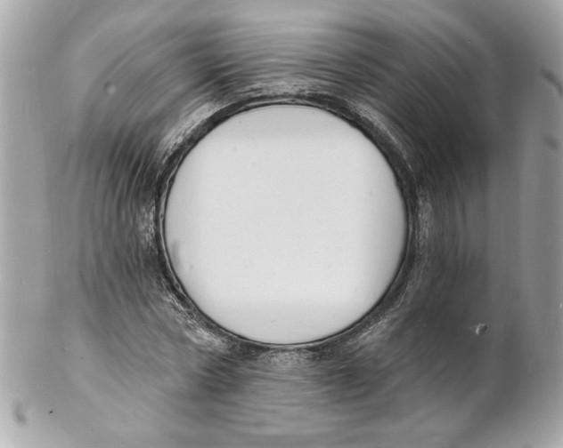 X0000102230778200808151729
