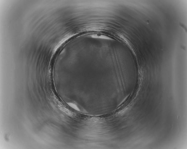 X0000102230779200808151729