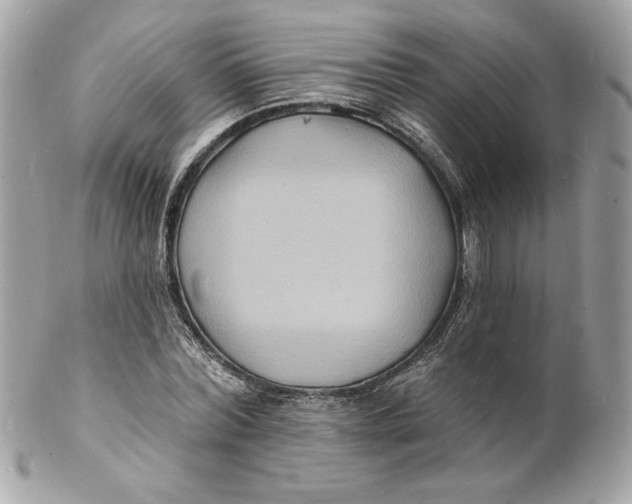X0000102230780200808151729