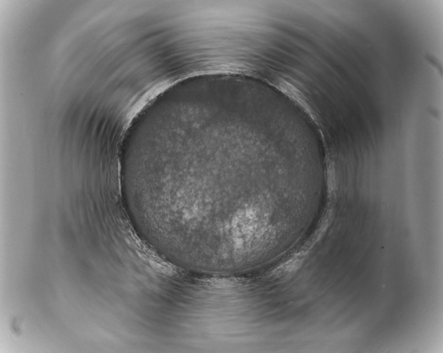 X0000102230781200808151729