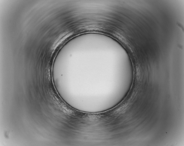 X0000102230782200808151729