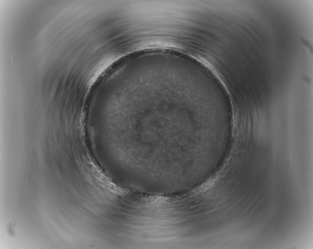 X0000102230783200808151729