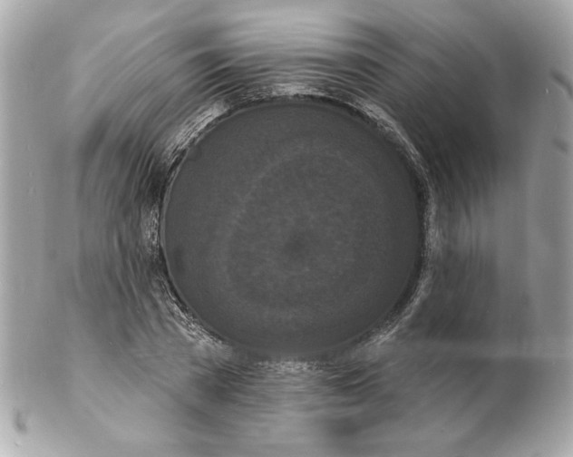 X0000102230785200808151729