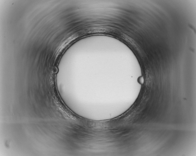 X0000102230786200808151729