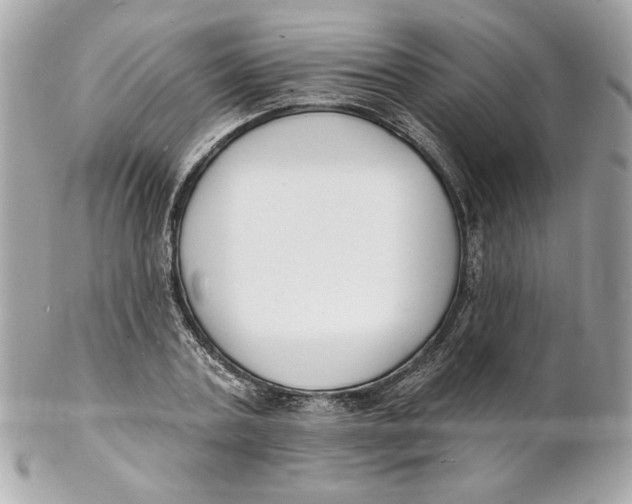 X0000102230787200808151729