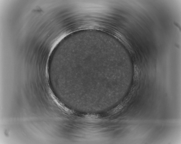 X0000102230788200808151729