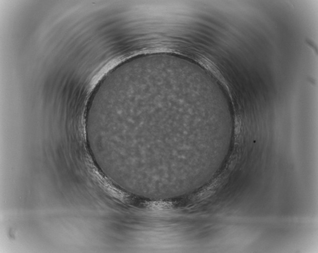 X0000102230789200808151729