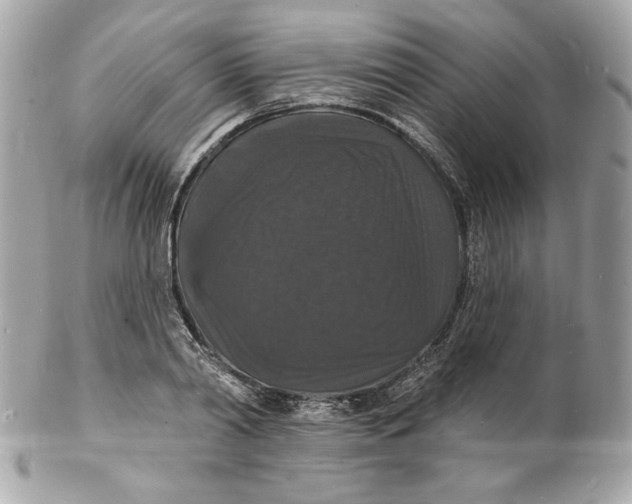 X0000102230790200808151729