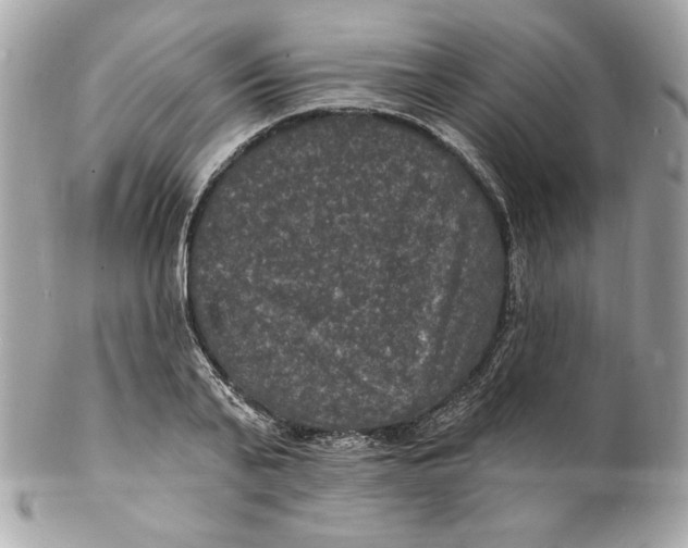 X0000102230791200808151729