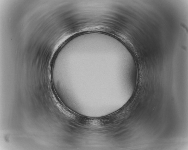 X0000102230792200808151729