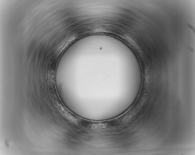 X0000102230793200808151728