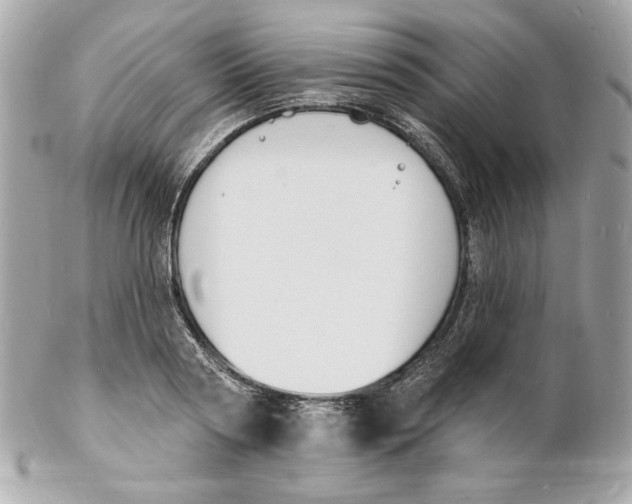 X0000102230794200808151728