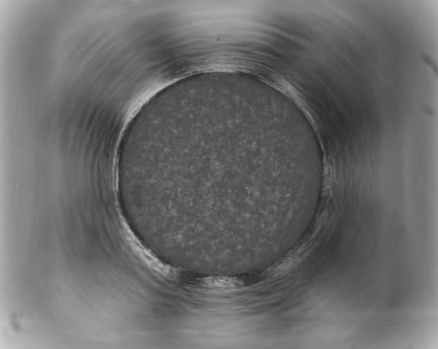 X0000102230795200808151728