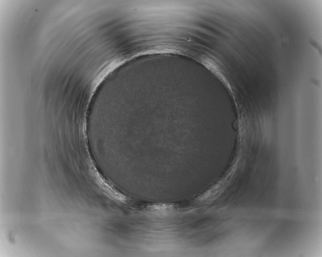 X0000102230797200808151728