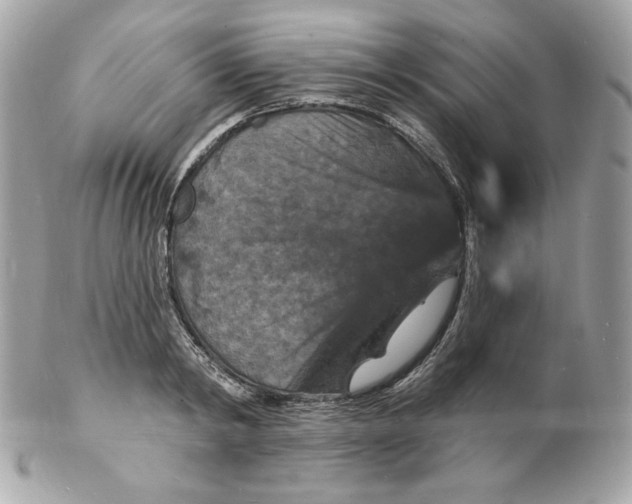X0000102230798200808151728