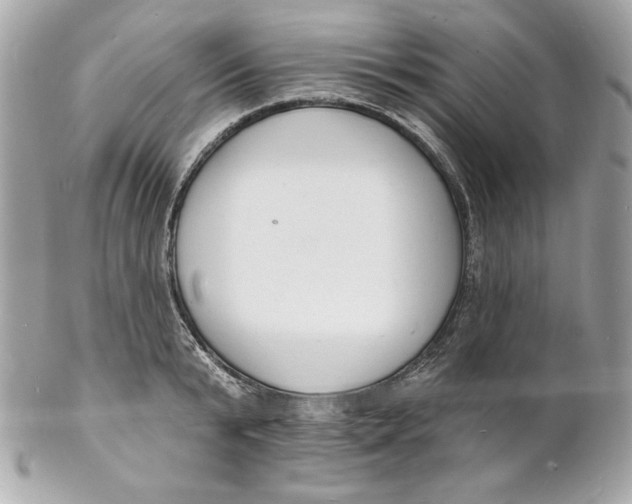 X0000102230799200808151728