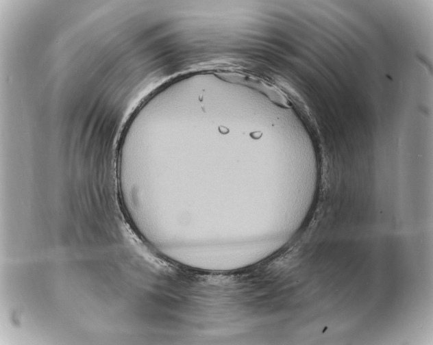 X0000102230800200808151728
