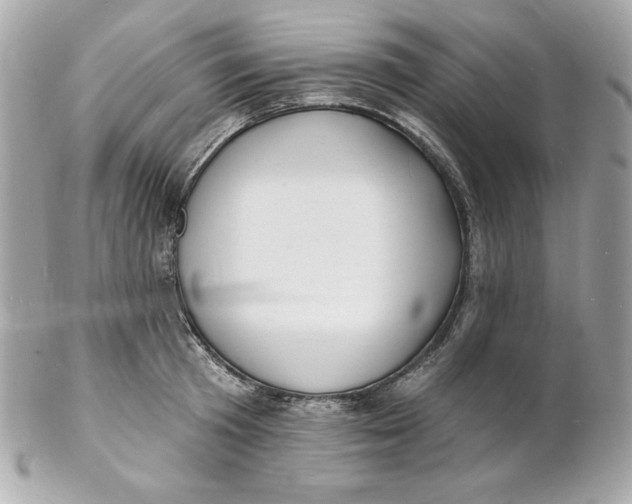 X0000102230801200808151728