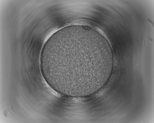 X0000102230803200808151728