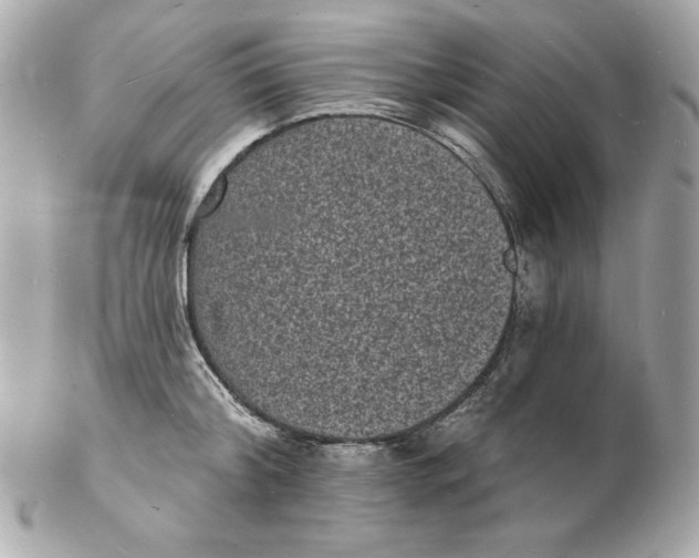 X0000102230804200808151728