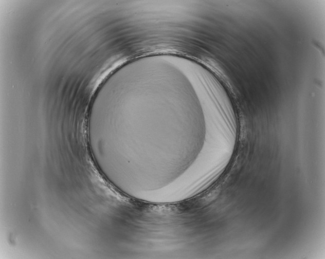 X0000102230806200808151728
