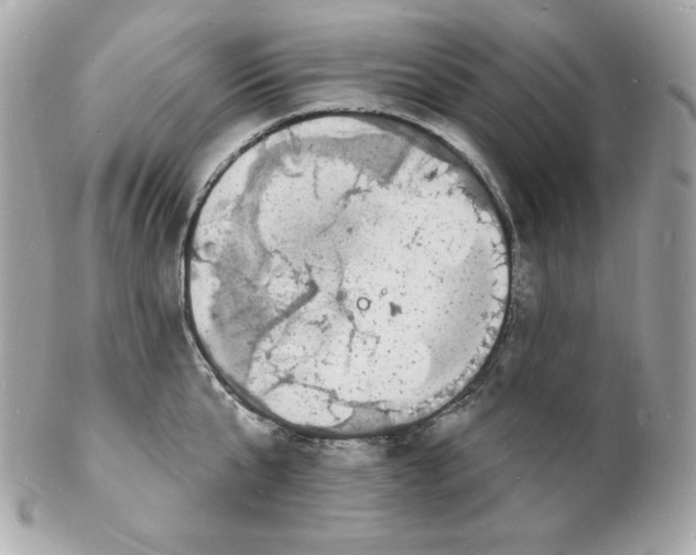 X0000102230807200808151728
