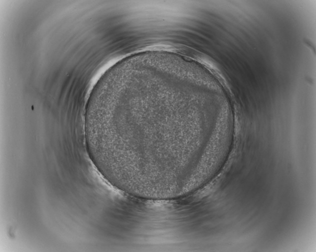 X0000102230808200808151728