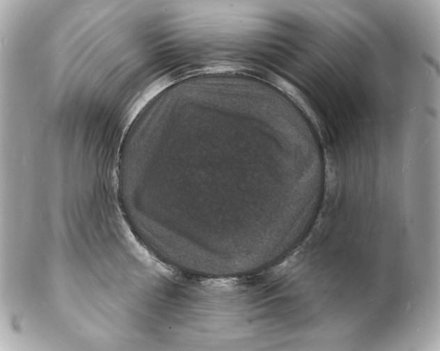 X0000102230810200808151728