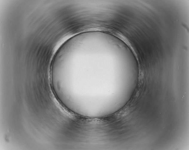 X0000102230811200808151728