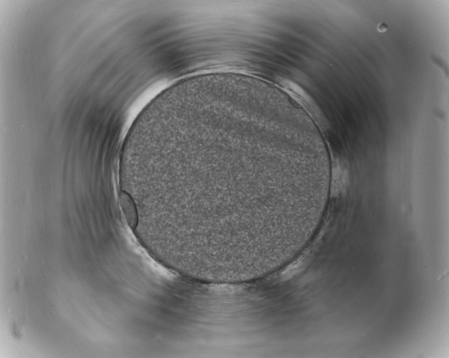 X0000102230812200808151728