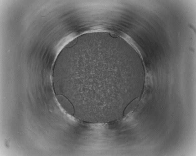 X0000102230813200808151728