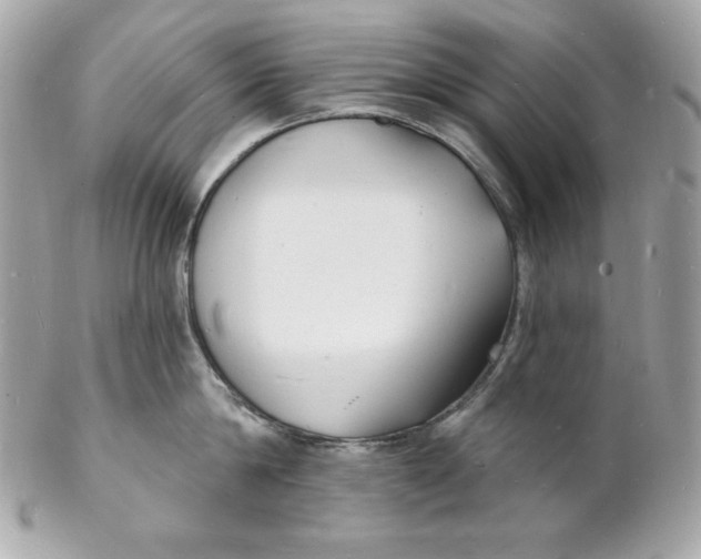 X0000102230814200808151728
