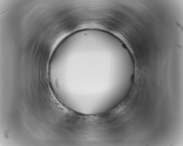 X0000102230815200808151728