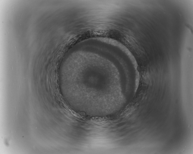 X0000102230817200808151727